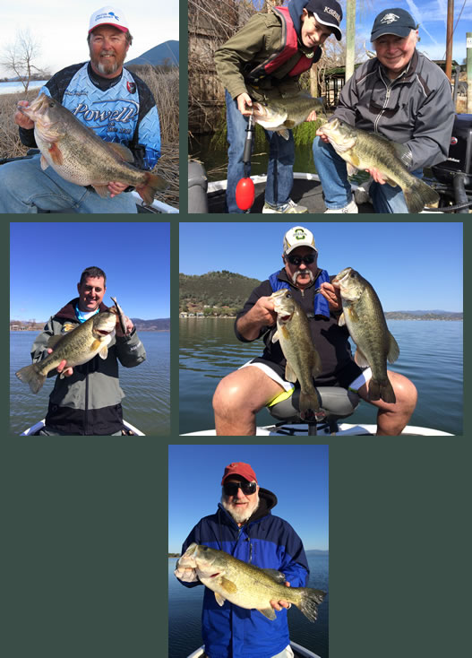 Powell Fishing Clear Lake Bass